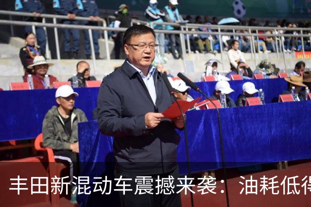 丰田新混动车震撼来袭：油耗低得让你怀疑人生！